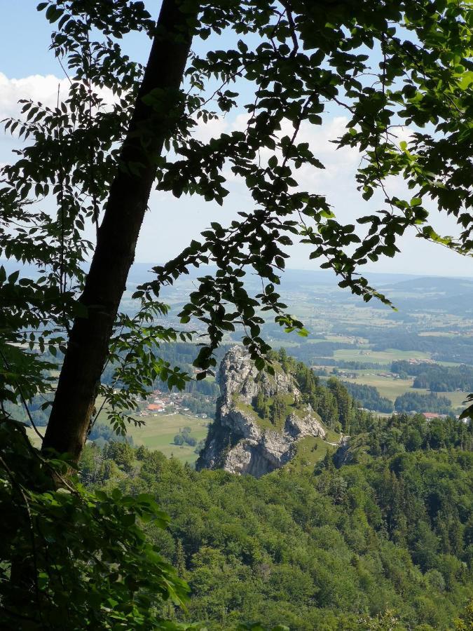 Hébergement de vacances Good Times @ Salzburg Koppl